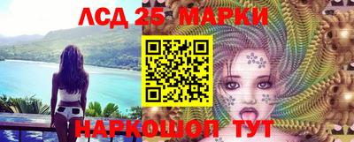 гидропоника Ярославль