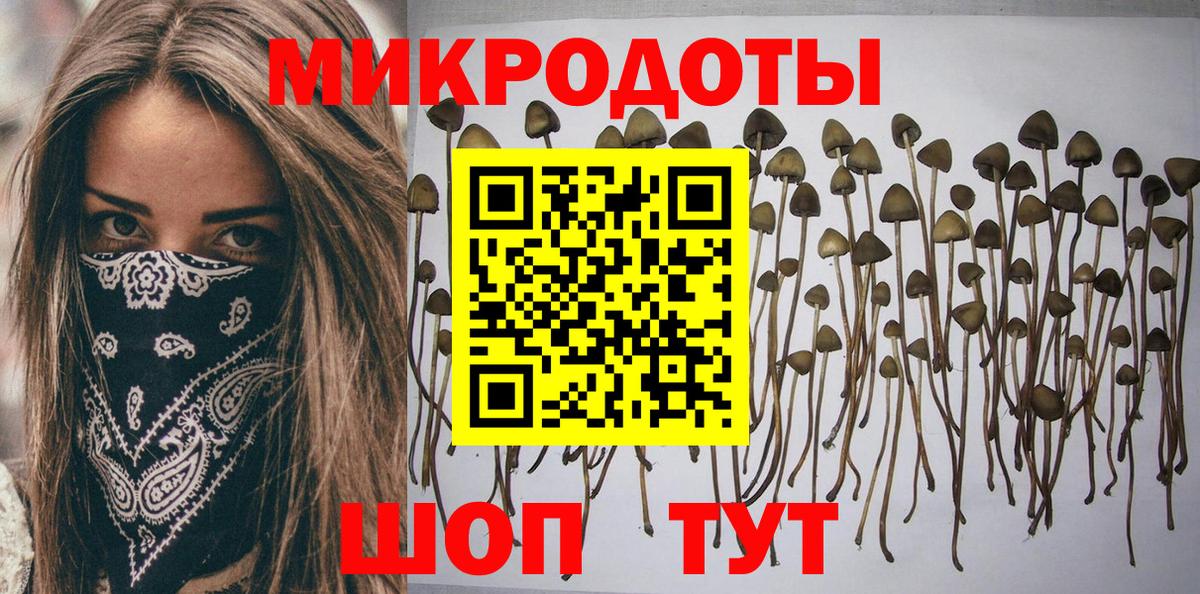 Галлюциногенные грибы MAGIC MUSHROOMS Азнакаево